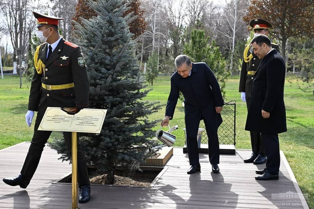 Bg0Eg5bjyZtIUTvChpOCVATisA3SLJ1w_front