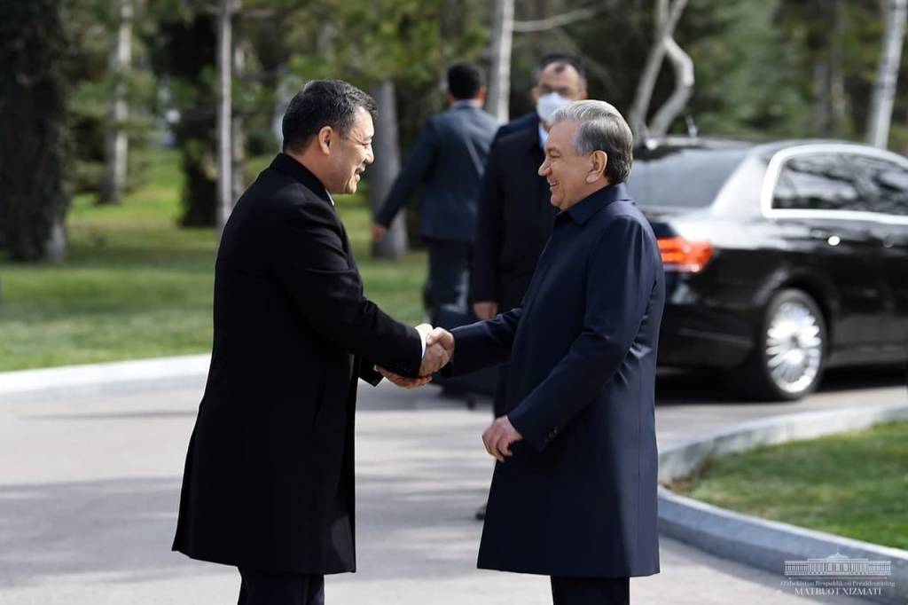 YInPtYpV9pVD1d5FXBqBusNHB9MD3Ve8_front